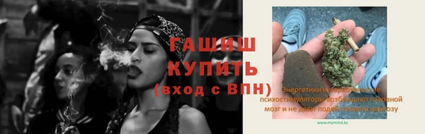 PSILOCYBIN Аркадак