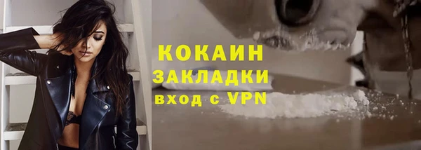 PSILOCYBIN Аркадак