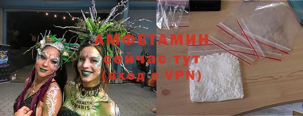PSILOCYBIN Аркадак